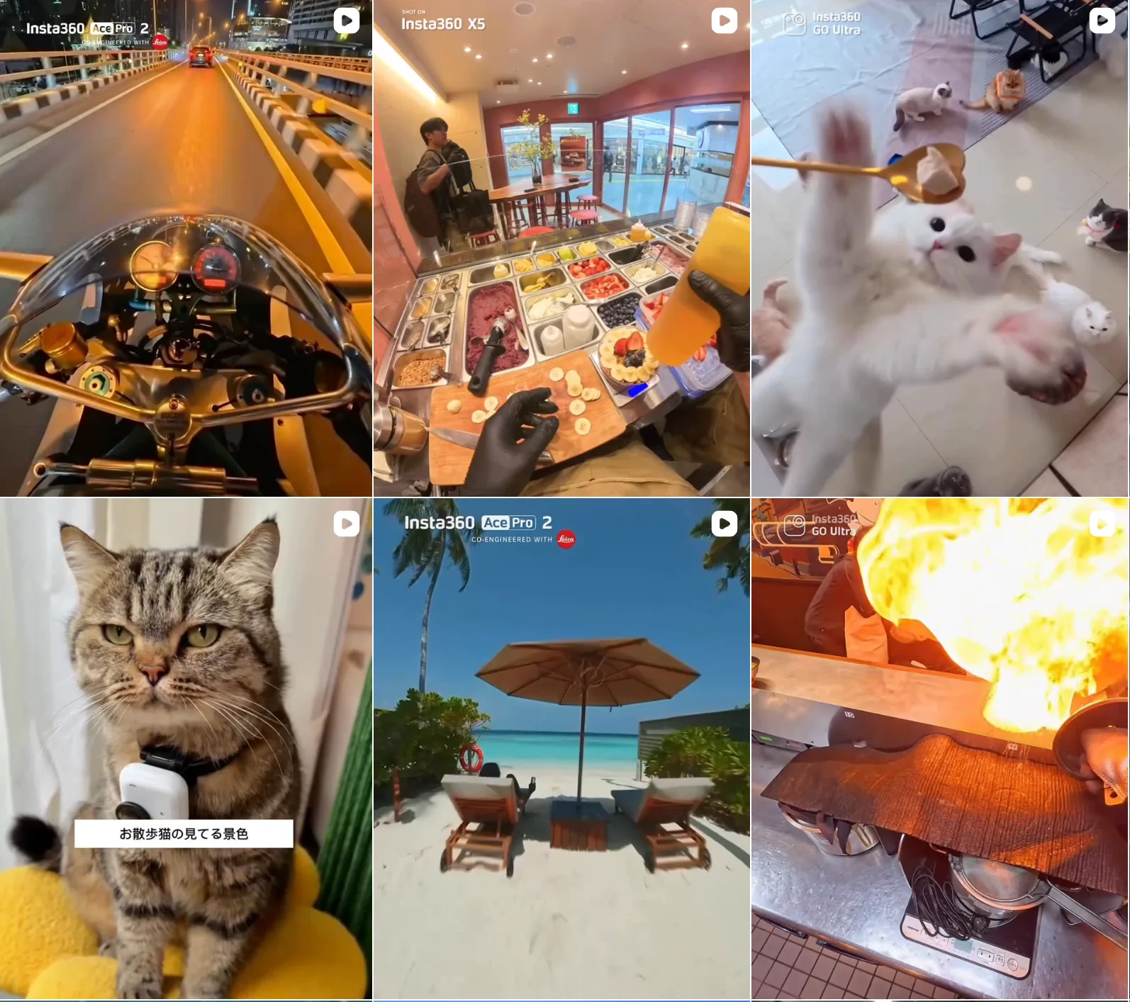 バイク・料理・猫・ビーチなど多彩な一人称視点で撮影されたPOV映像の作例